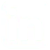 LinkedIn social media icon